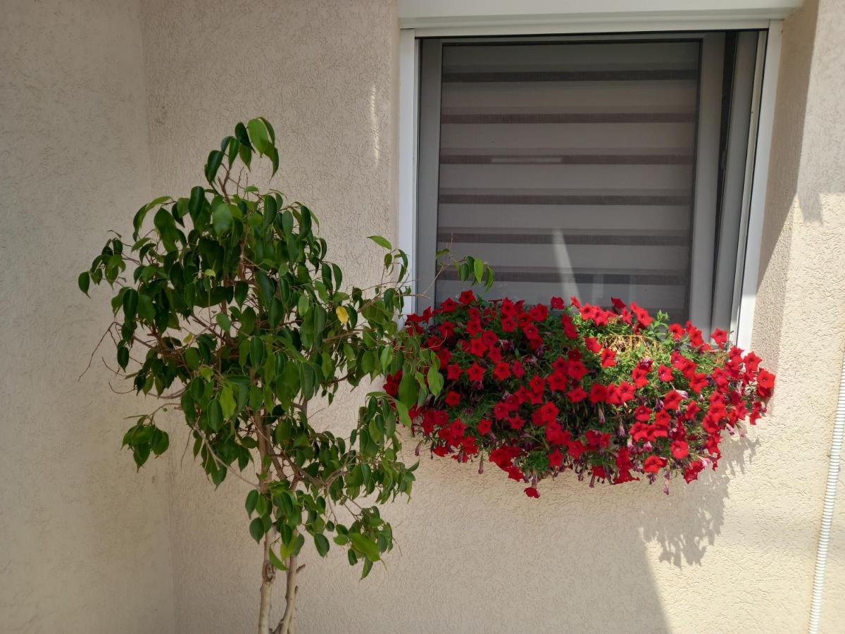 Leda Apartmani Smederevo Exterior foto