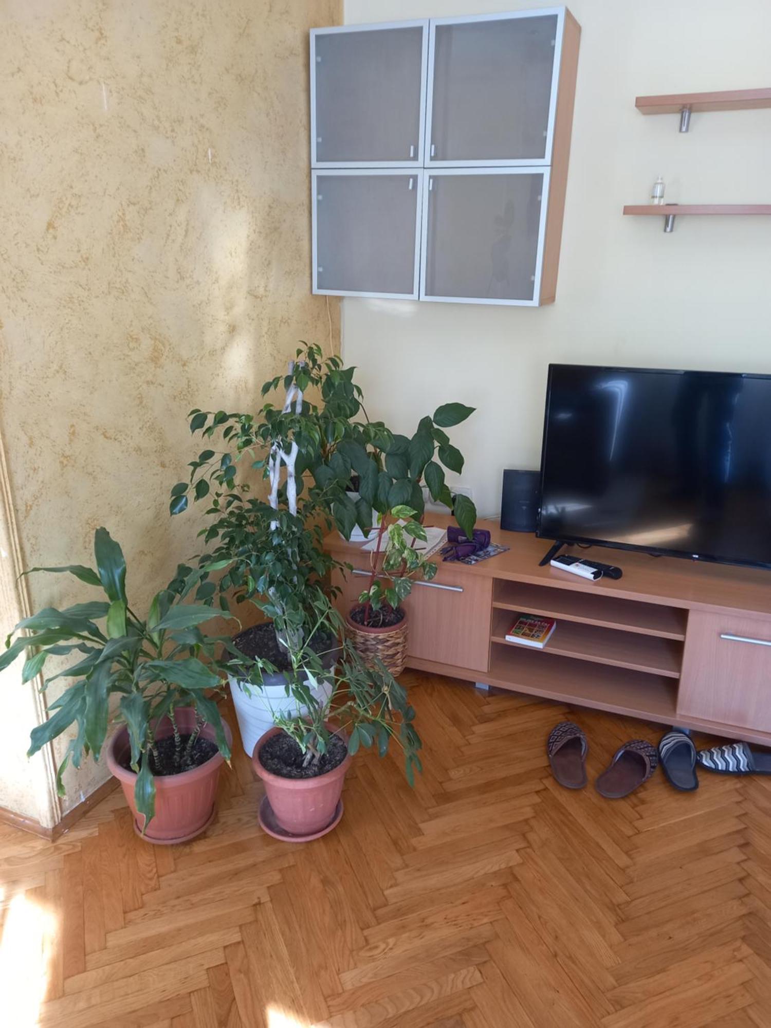 Leda Apartmani Smederevo Exterior foto