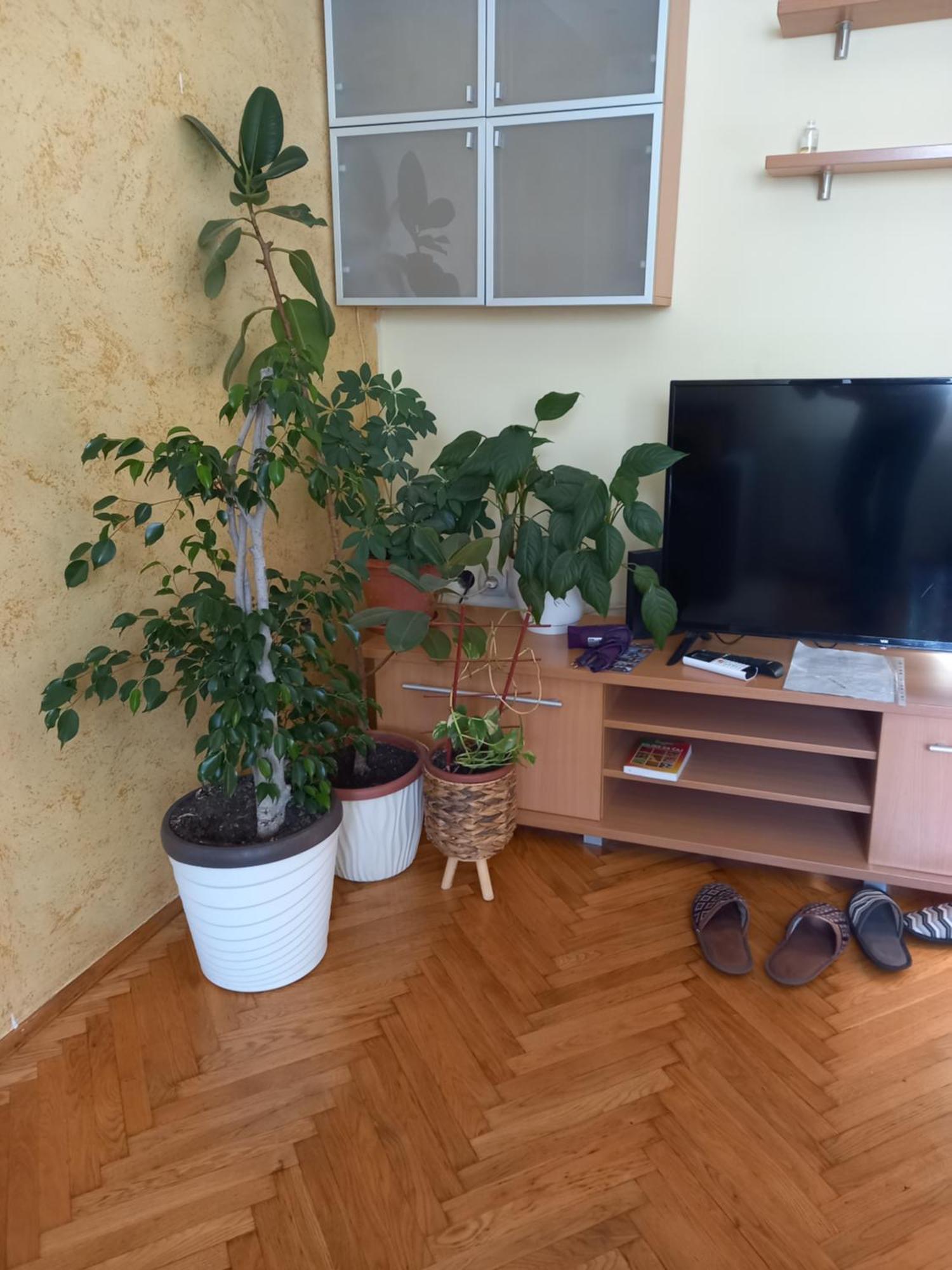 Leda Apartmani Smederevo Habitación foto
